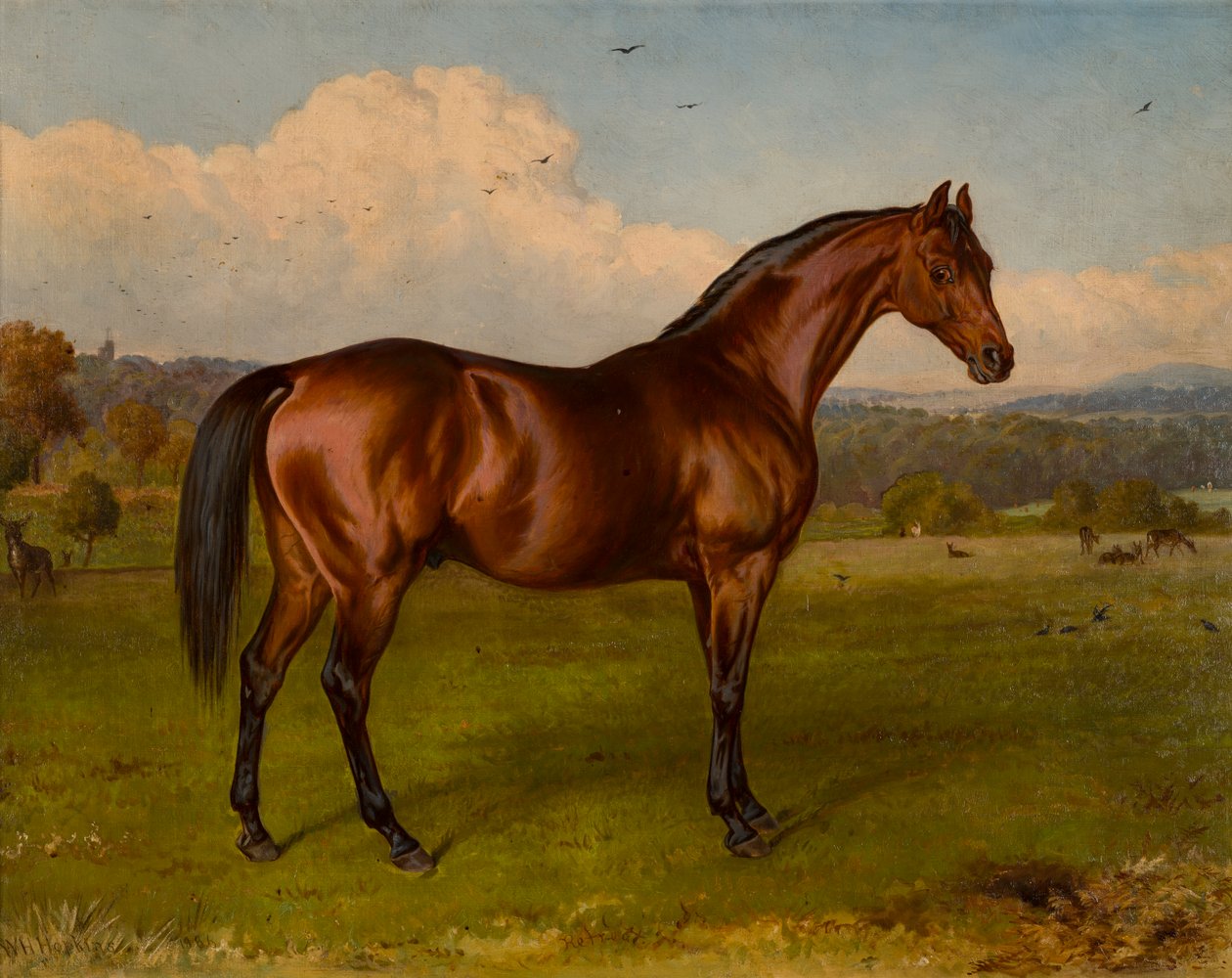 Zwycięzca rekolekcji Pucharu Doncaster, ok. 1870-92 (olej na płótnie) autorstwa W.H. Hopkins