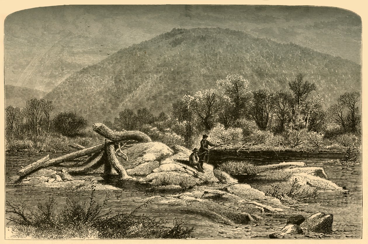 „Góra Chesterfield”, 1874. autorstwa W.H. Morse