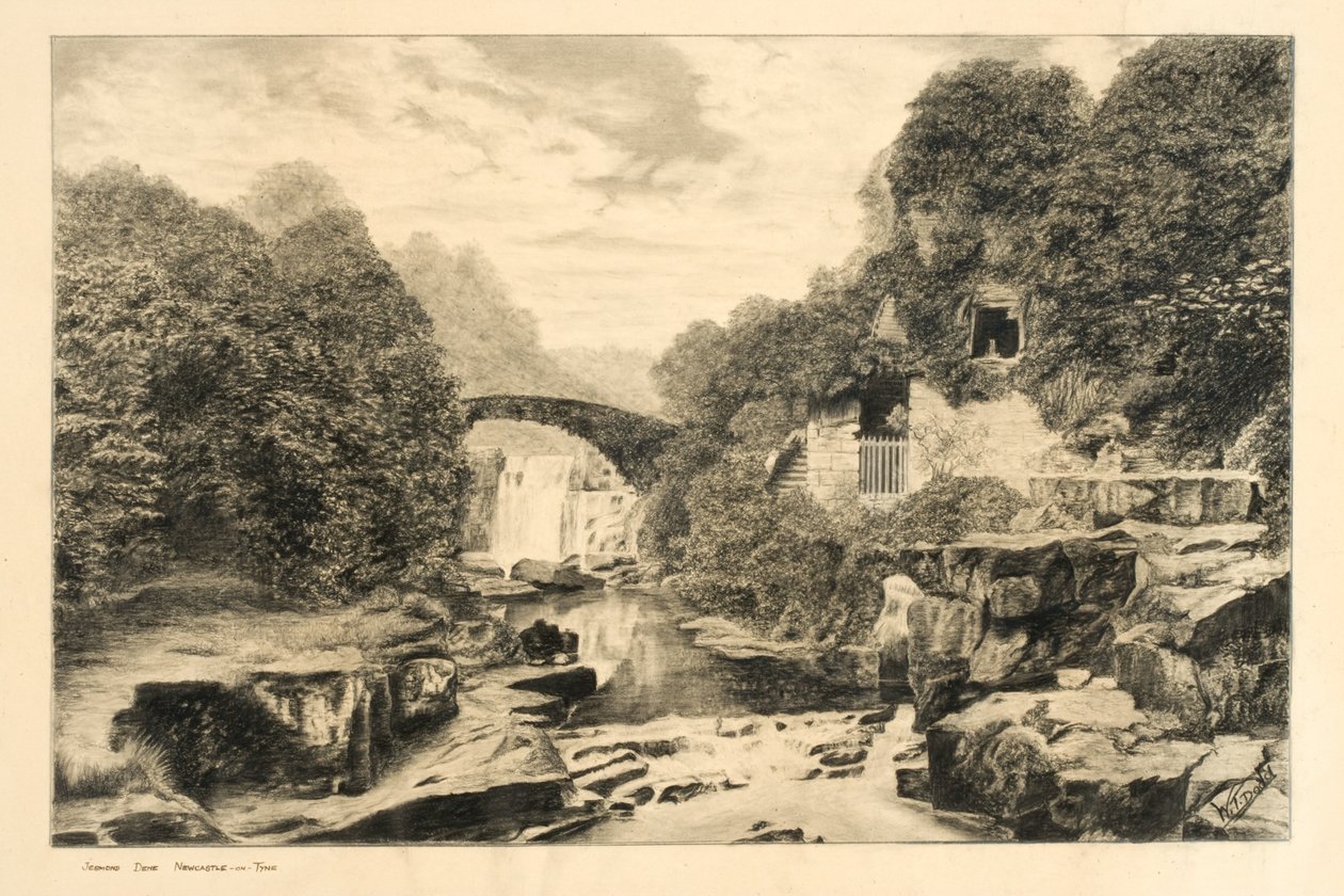 Jesmond Dene (kreda i ołówek na papierze) autorstwa W.T. Dodd