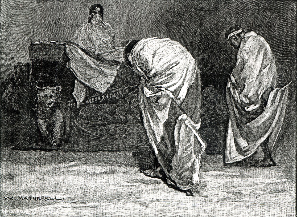 Cesarz Teodor udzielający audiencji z „Ilustrowanej Historii Anglii Cassella”, 1866 autorstwa W. Hatherell