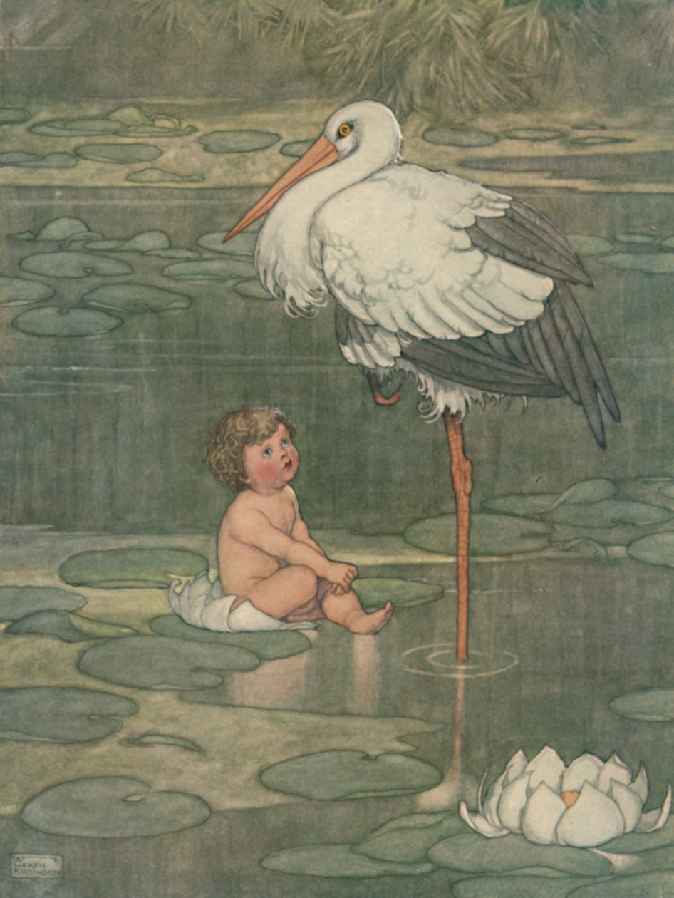 Pączek otworzył się w pełni rozwinięty kwiat, ok. 1930 r. autorstwa William Heath Robinson
