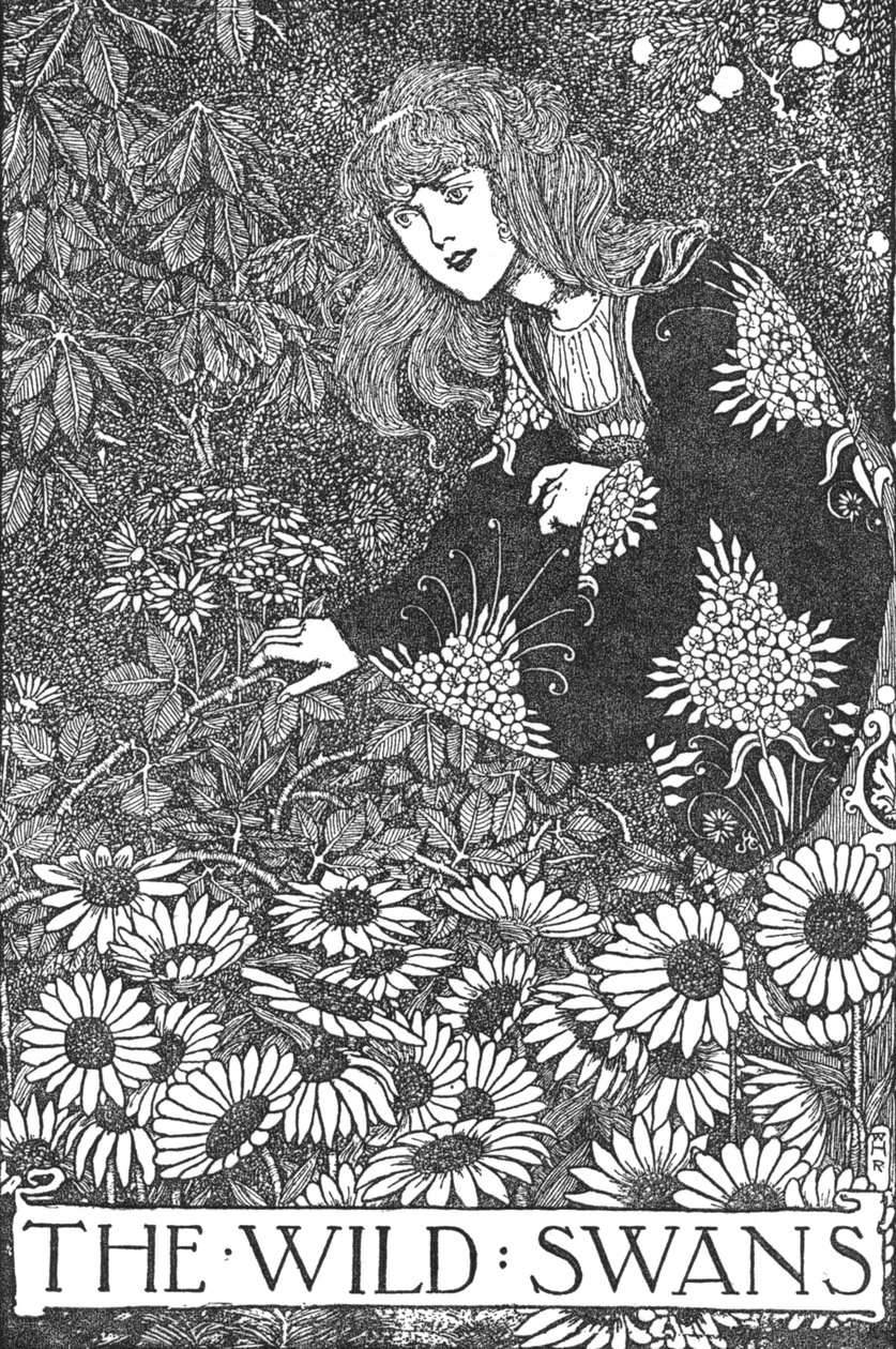 Dzikie łabędzie, ok. 1930 autorstwa William Heath Robinson