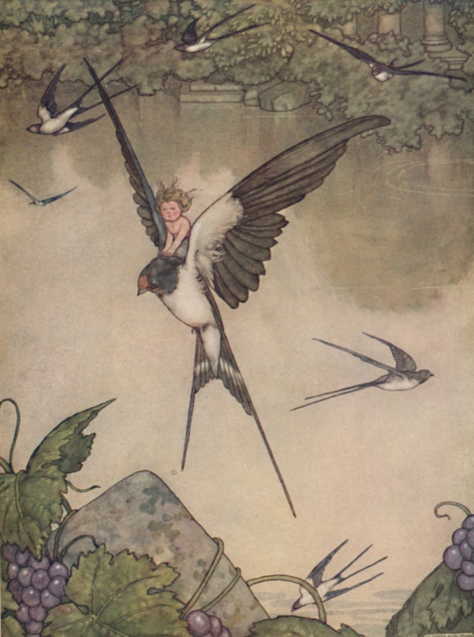 Tak, pójdę z tobą! Powiedział Tommelise, ok. 1930 r autorstwa William Heath Robinson