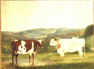 Bydło na tle krajobrazu autorstwa W. J. Chapman