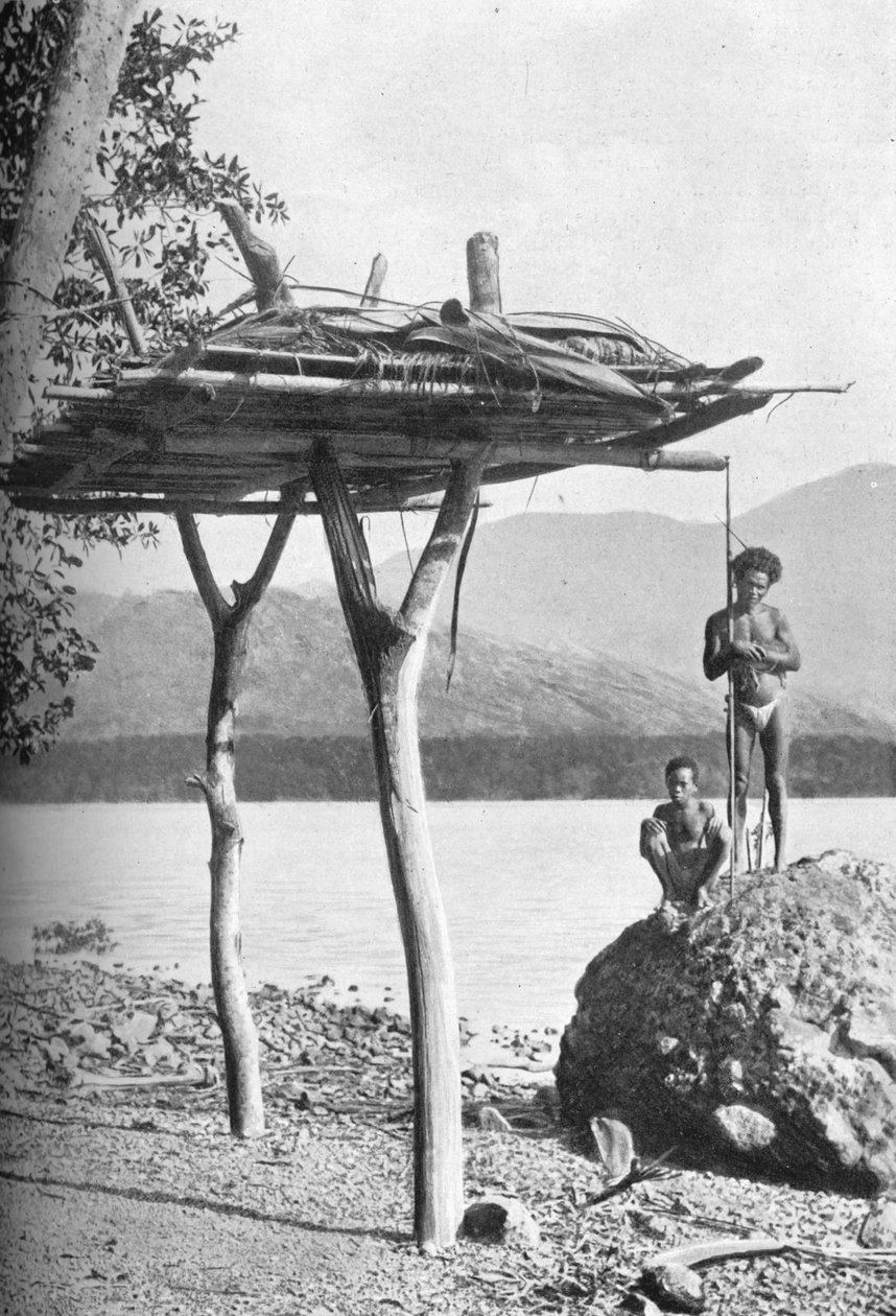 Platforma kostnicy w Nowej Gwinei, 1902 autorstwa W. Lindt