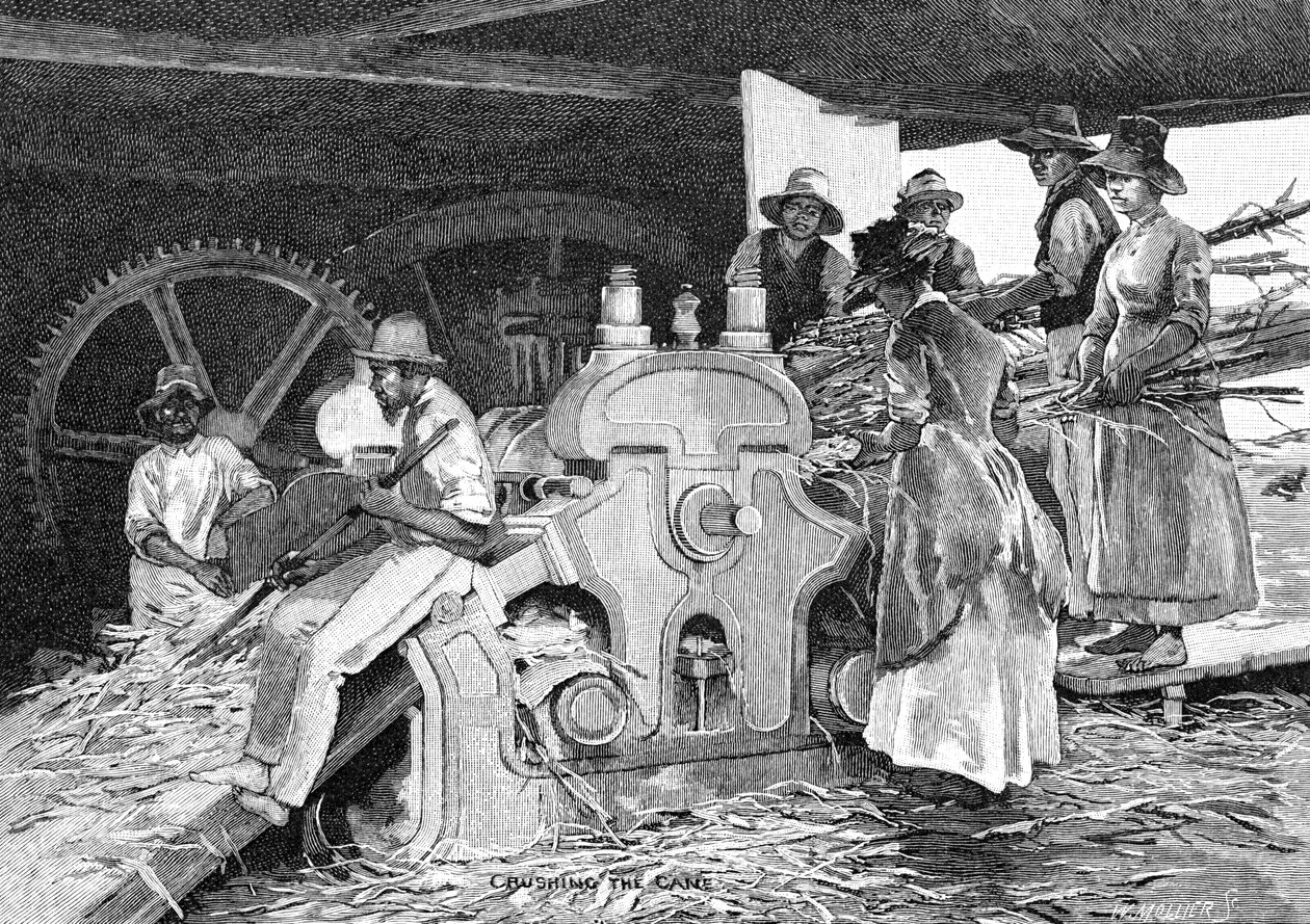 Miażdżenie trzciny, 1886. autorstwa W. Mollier