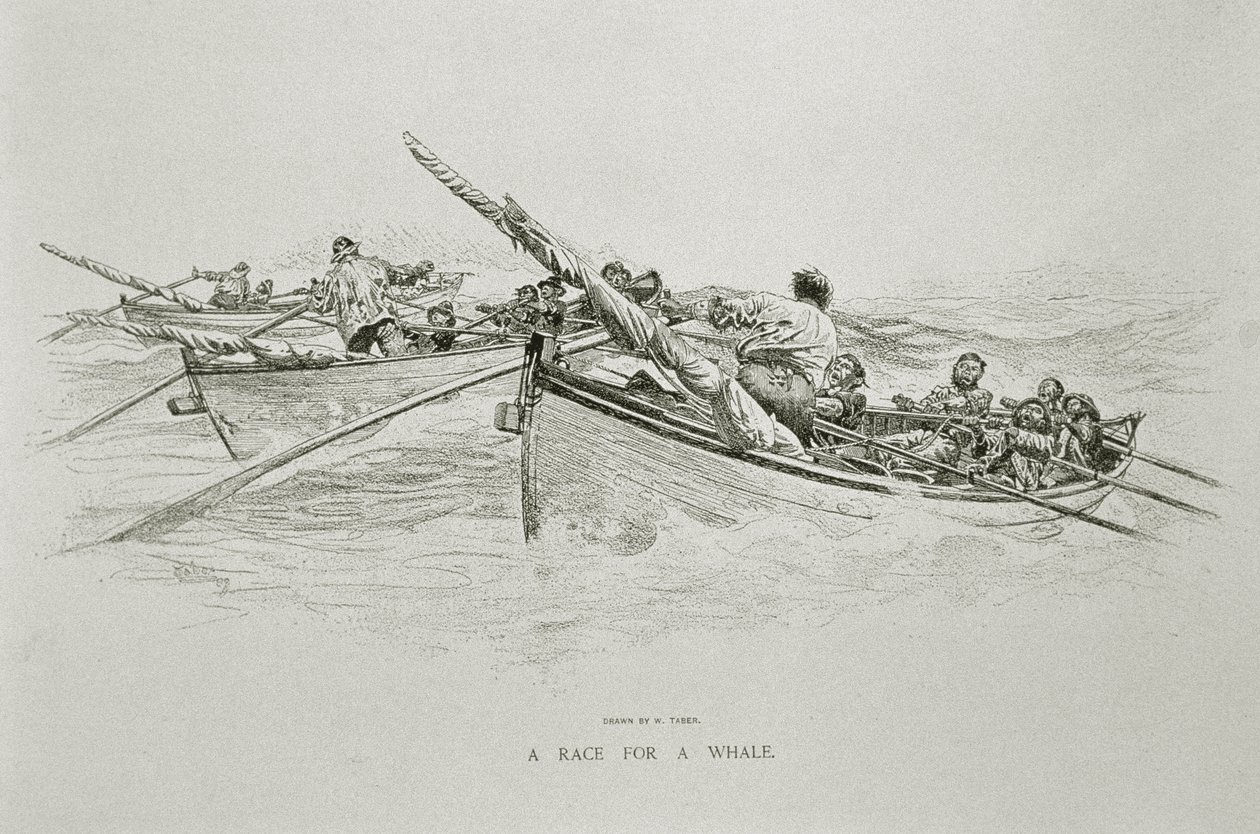 „Wyścig o wieloryba”, za „Niebezpieczeństwa i romans z wielorybnictwem” w Century Magazine, czerwiec 1890 (lito) autorstwa W. Taber