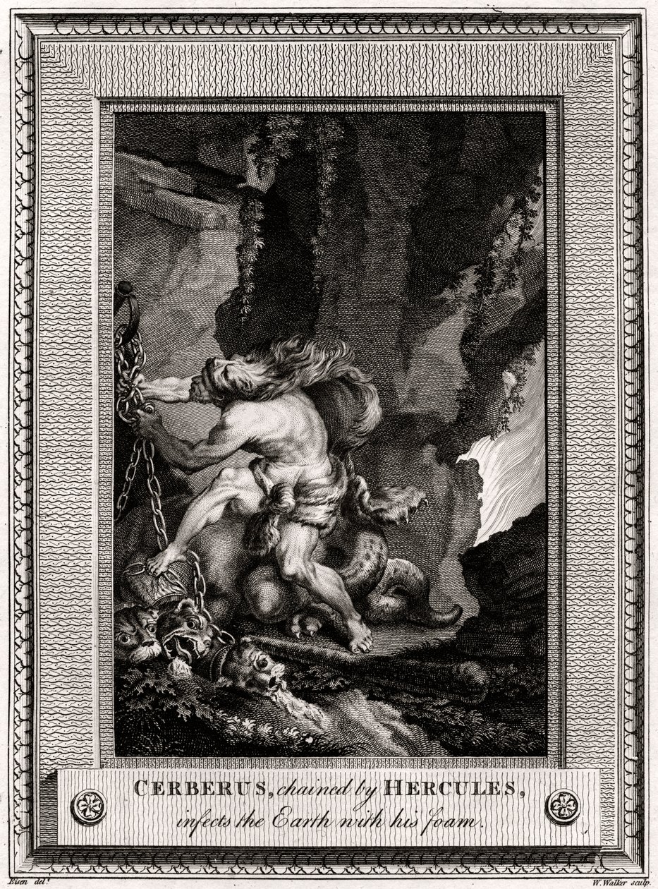 Cerber, przykuty przez Herkulesa, zaraża Ziemię swoją pianą, 1774 autorstwa W. Walker