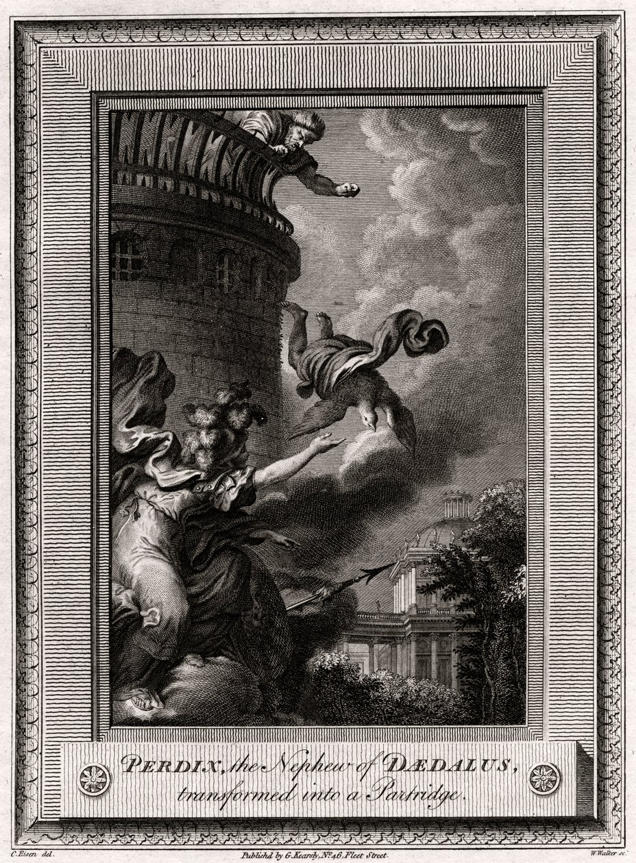 Perdix, bratanek Dedala, przemieniony w kuropatwę, 1774 autorstwa W. Walker