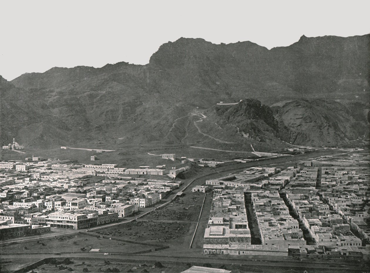 Widok ogólny przedstawiający targ wielbłądów, Aden, 1895. autorstwa W and S Ltd
