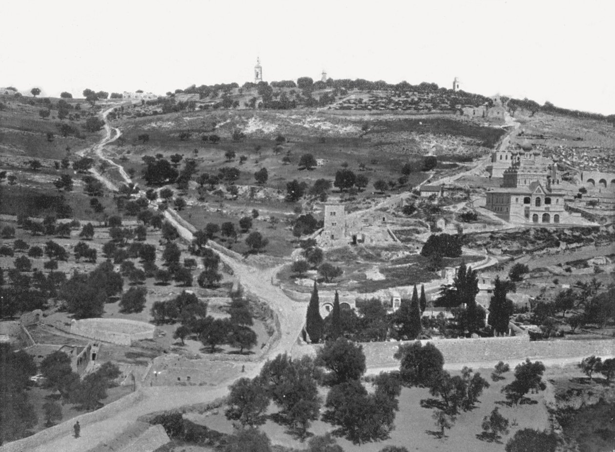 Góra Oliwna, Jerozolima, Palestyna, 1895. autorstwa W and S Ltd