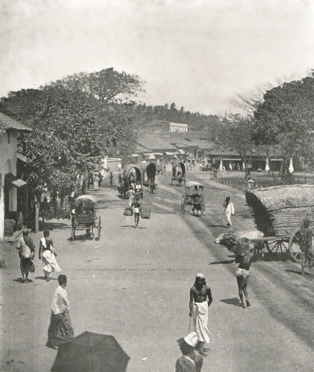 Scena uliczna w pobliżu ratusza, Kolombo, Cejlon, 1895. autorstwa W and S Ltd