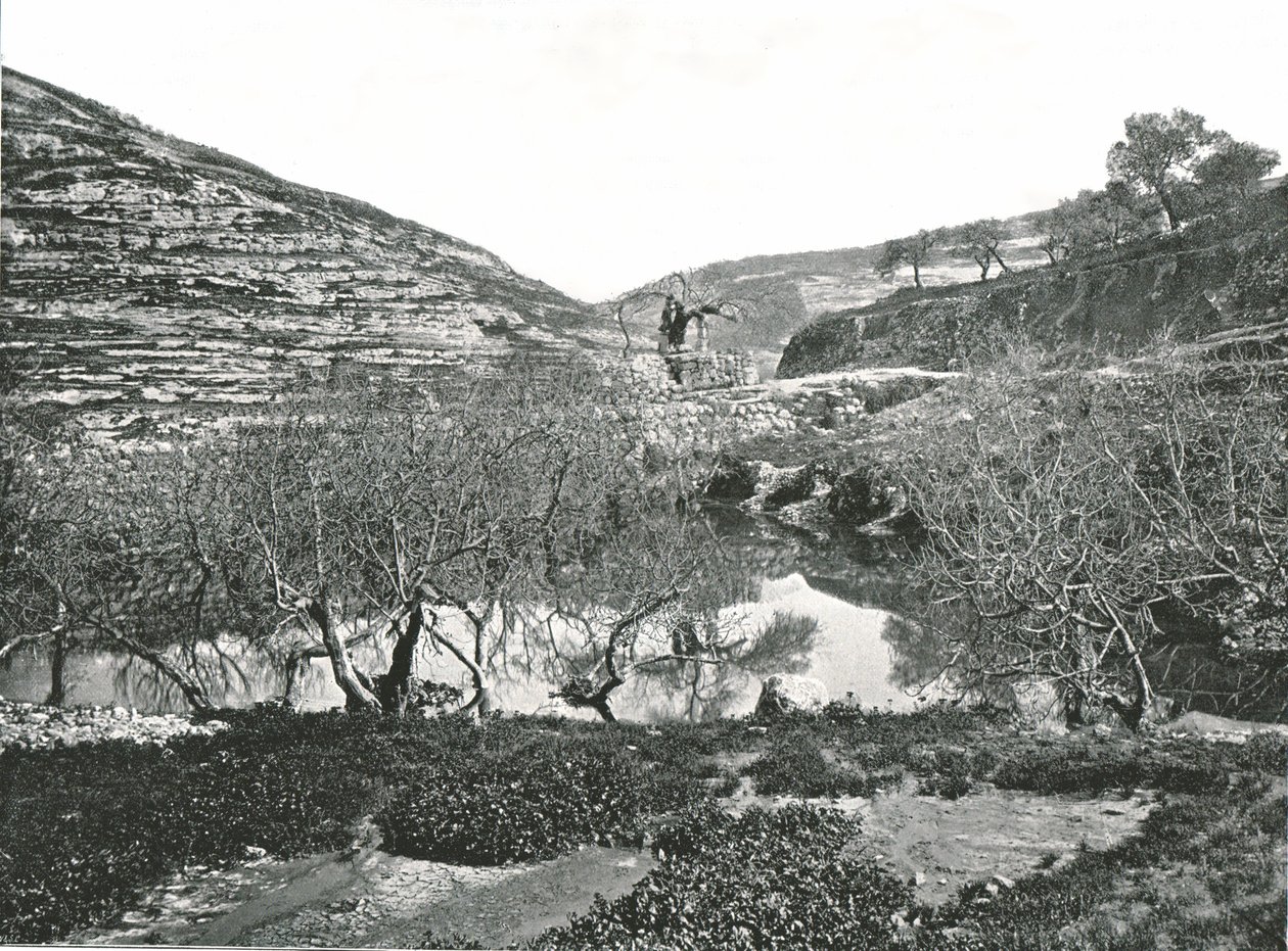 Sadzawka Siloam, Jerozolima, Palestyna, 1895. autorstwa W and S Ltd