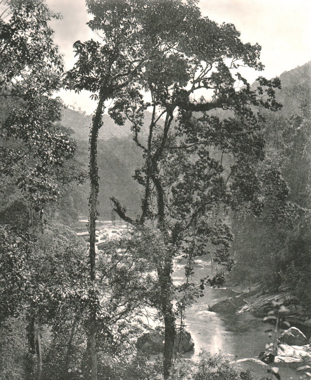 Widok na rzekę Kelani, Kurunegala, Cejlon, 1895. autorstwa W and S Ltd