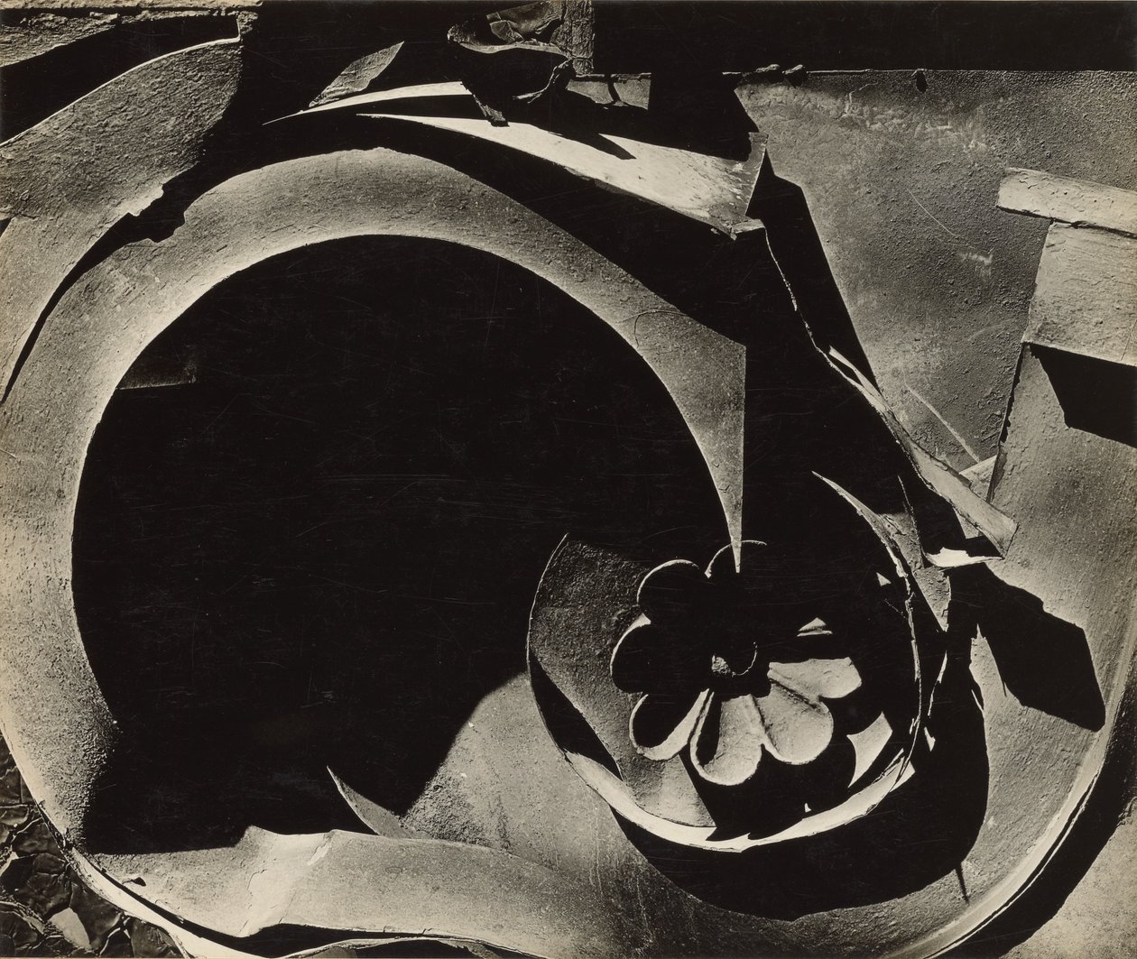 Blaszany relikt autorstwa Walker Evans