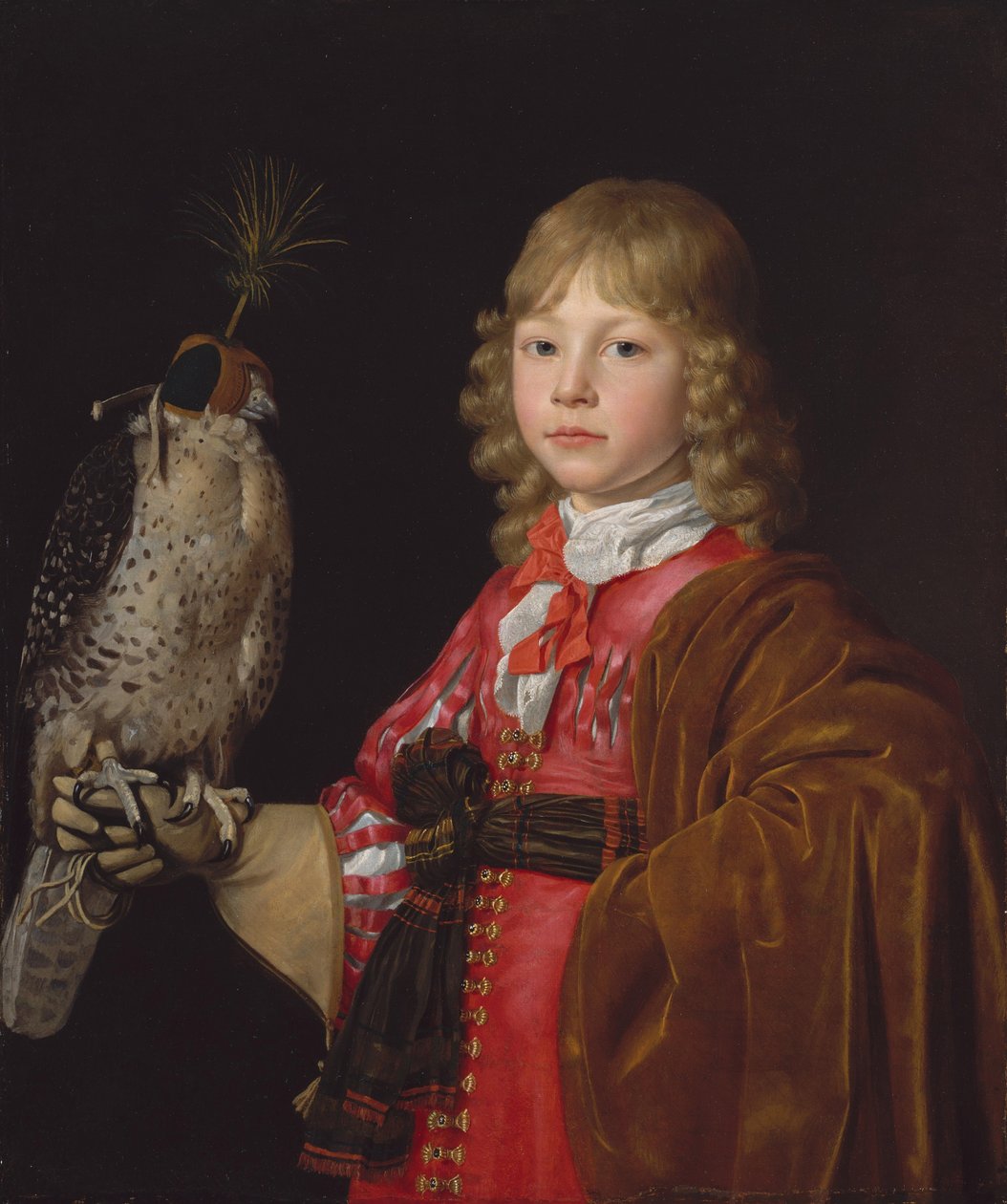 Portret chłopca z sokołem (olej na płótnie) autorstwa Wallerant Vaillant