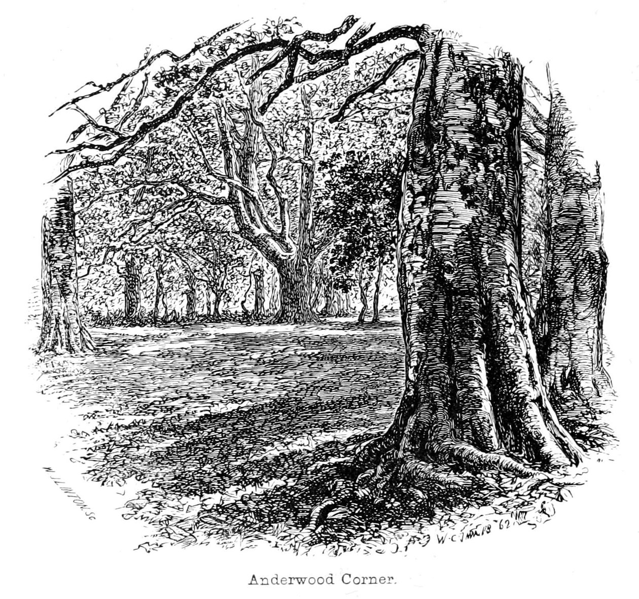 Kącik Anderwood autorstwa Walter Crane