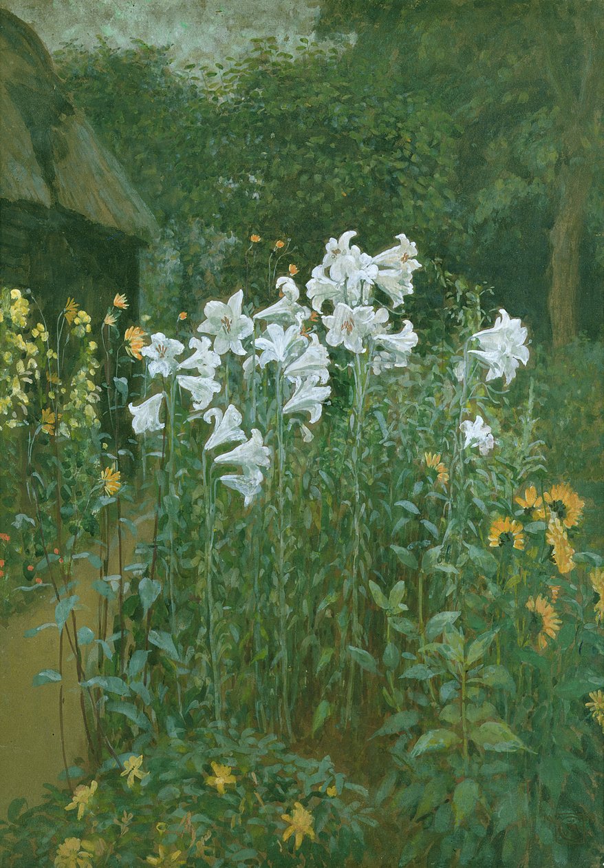 Lilie Madonny w ogrodzie autorstwa Walter Crane