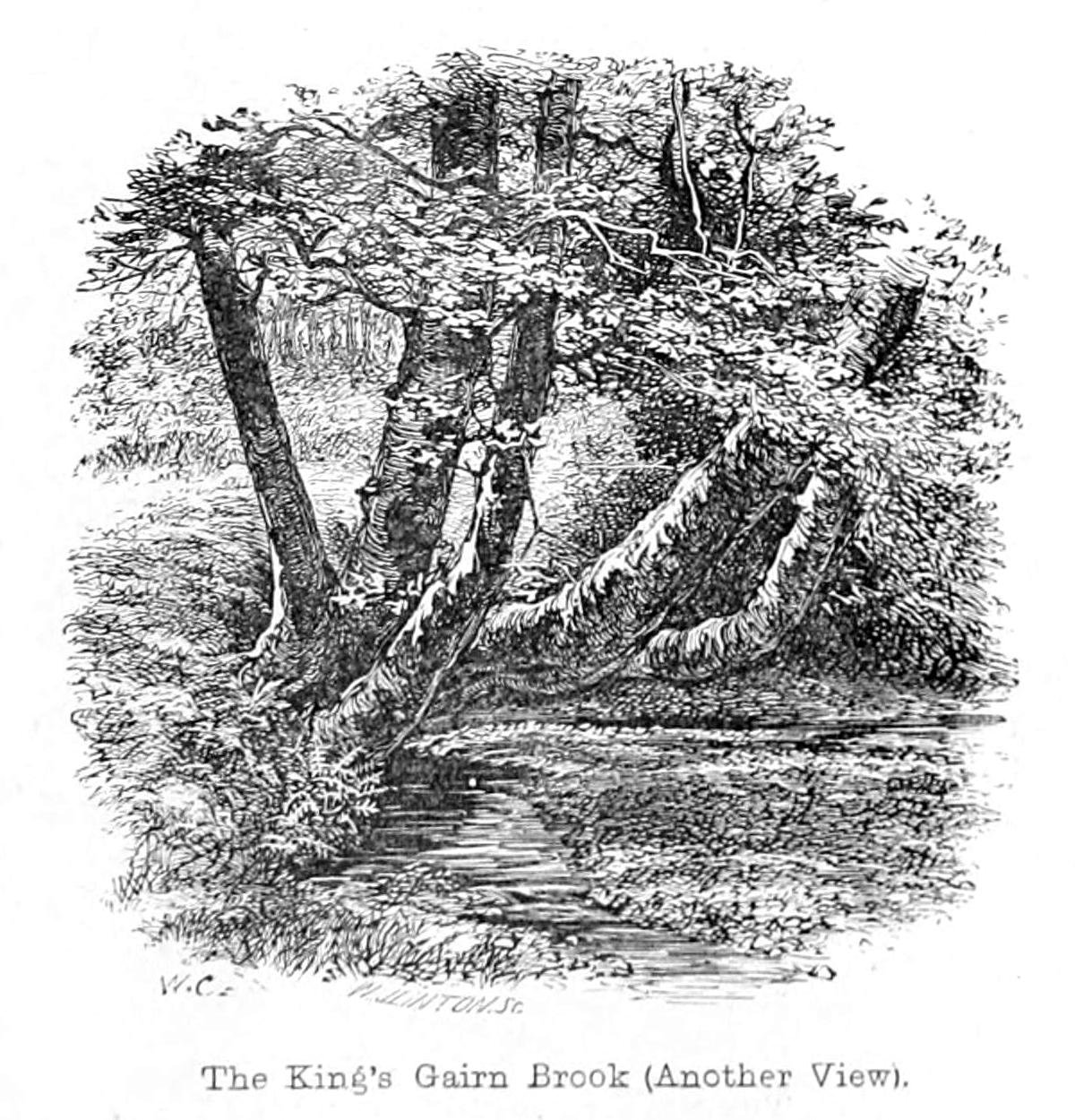 The Kings Gairn Brook autorstwa Walter Crane