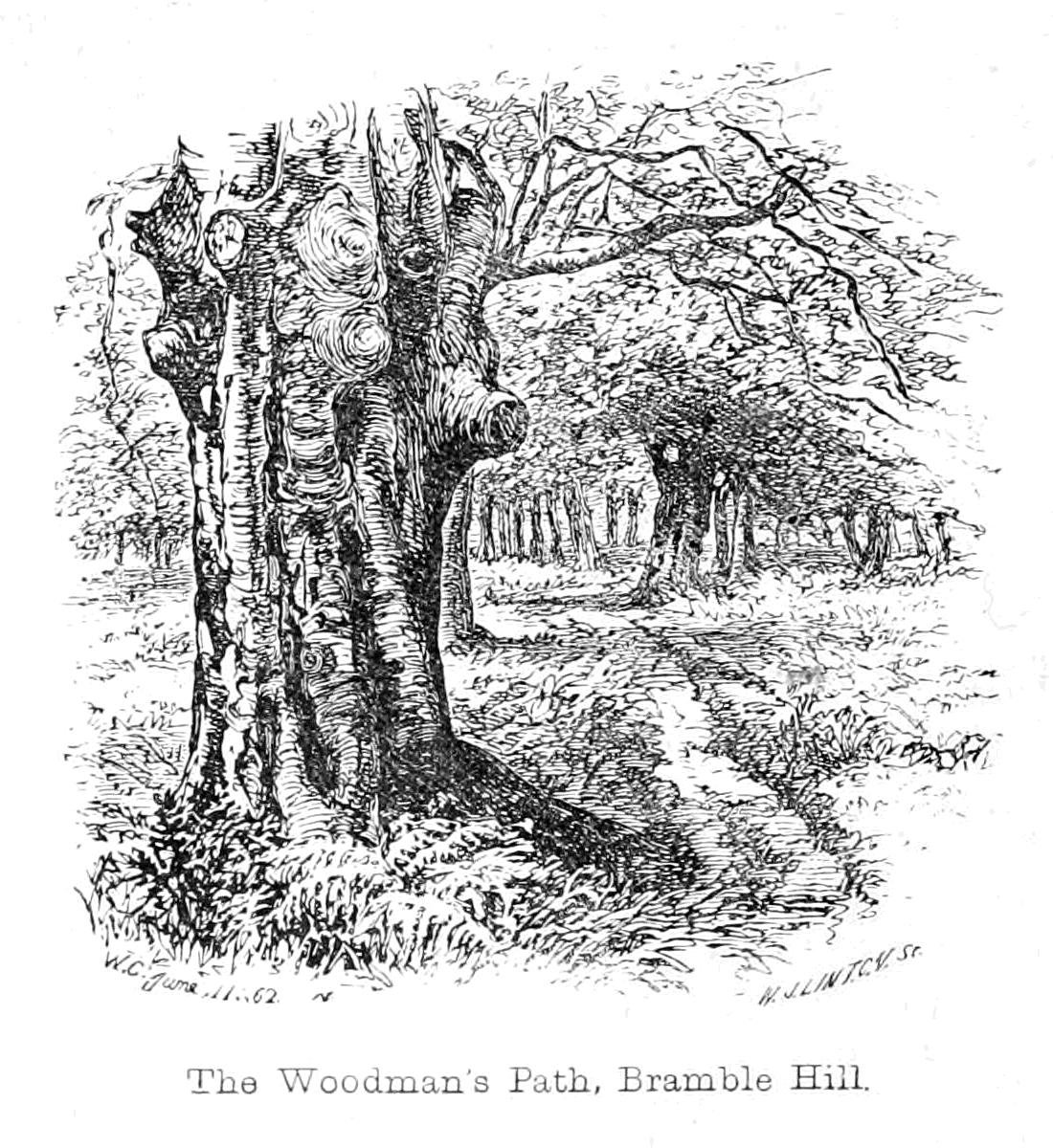 Ścieżka Woodmans, Bramble Hill autorstwa Walter Crane