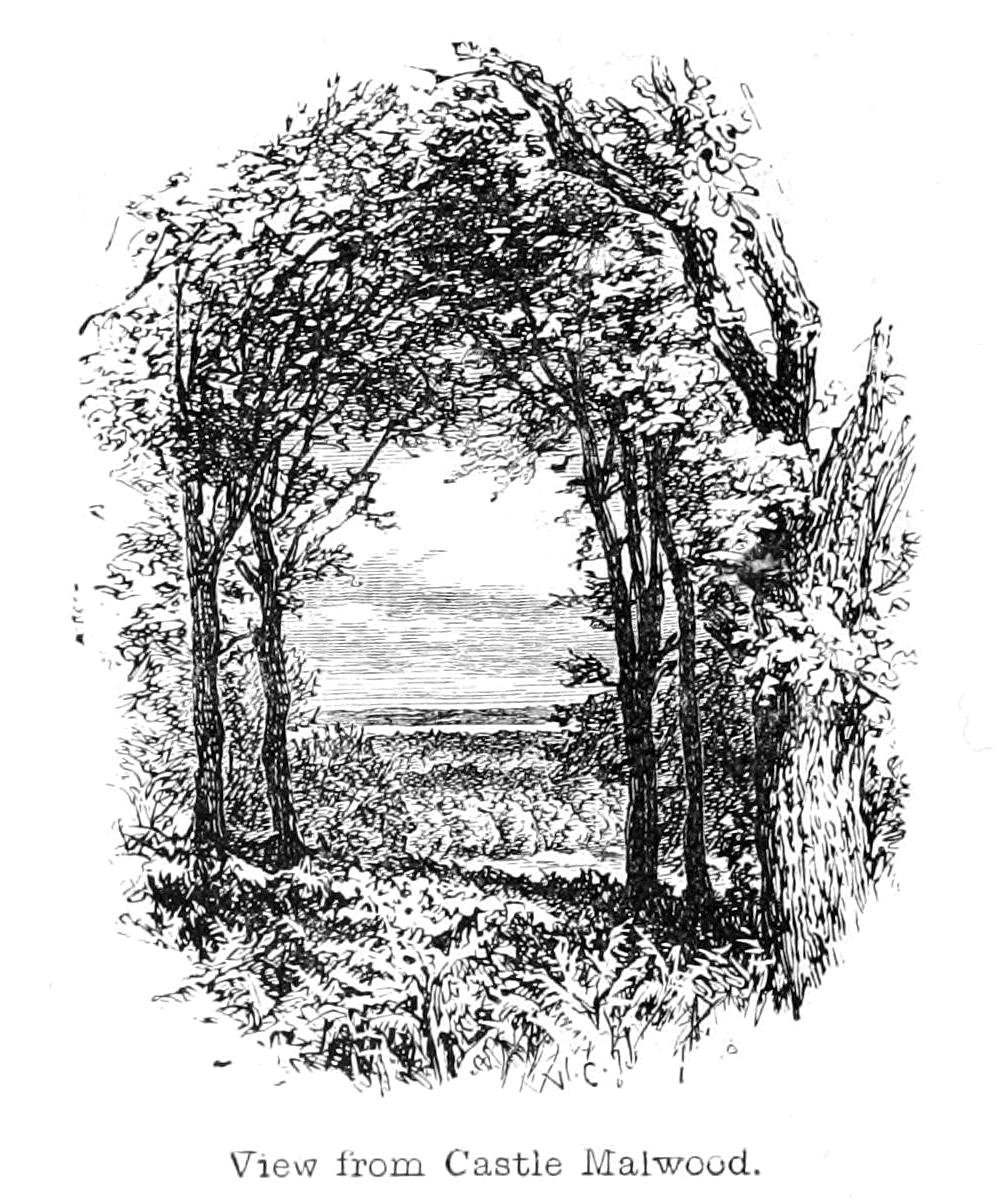 Widok z zamku Malwood autorstwa Walter Crane