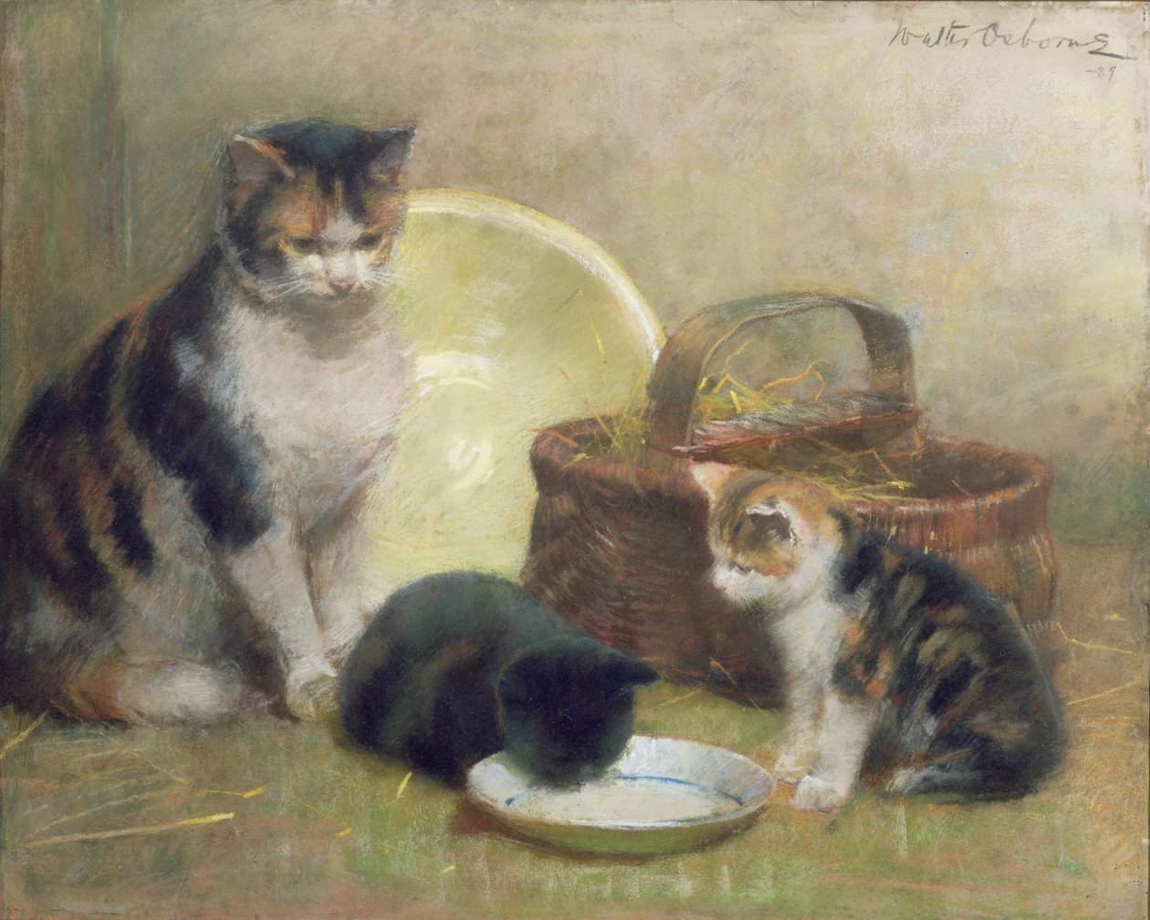 Kot i kocięta, 1889 (pastel) autorstwa Walter Frederick Osborne