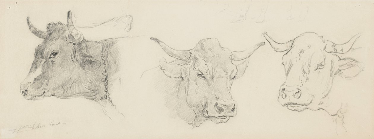 Badanie bydła do strzyżenia owiec, 1872-77 (grafit na papierze płowożółtym) autorstwa Walter Shirlaw