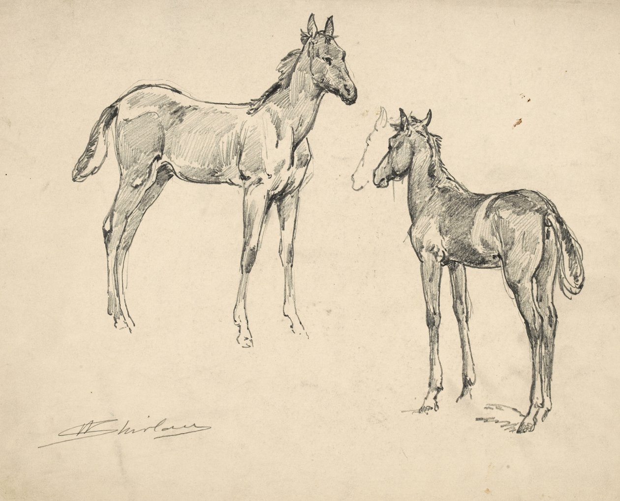 Badanie dwóch ogierków autorstwa Walter Shirlaw