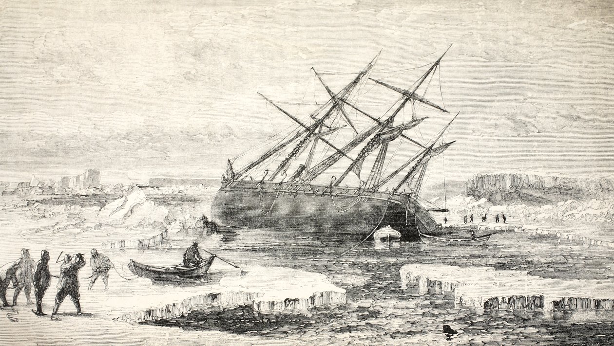 Lis na skale w pobliżu wyspy Buchan, 1859 autorstwa Walter William May