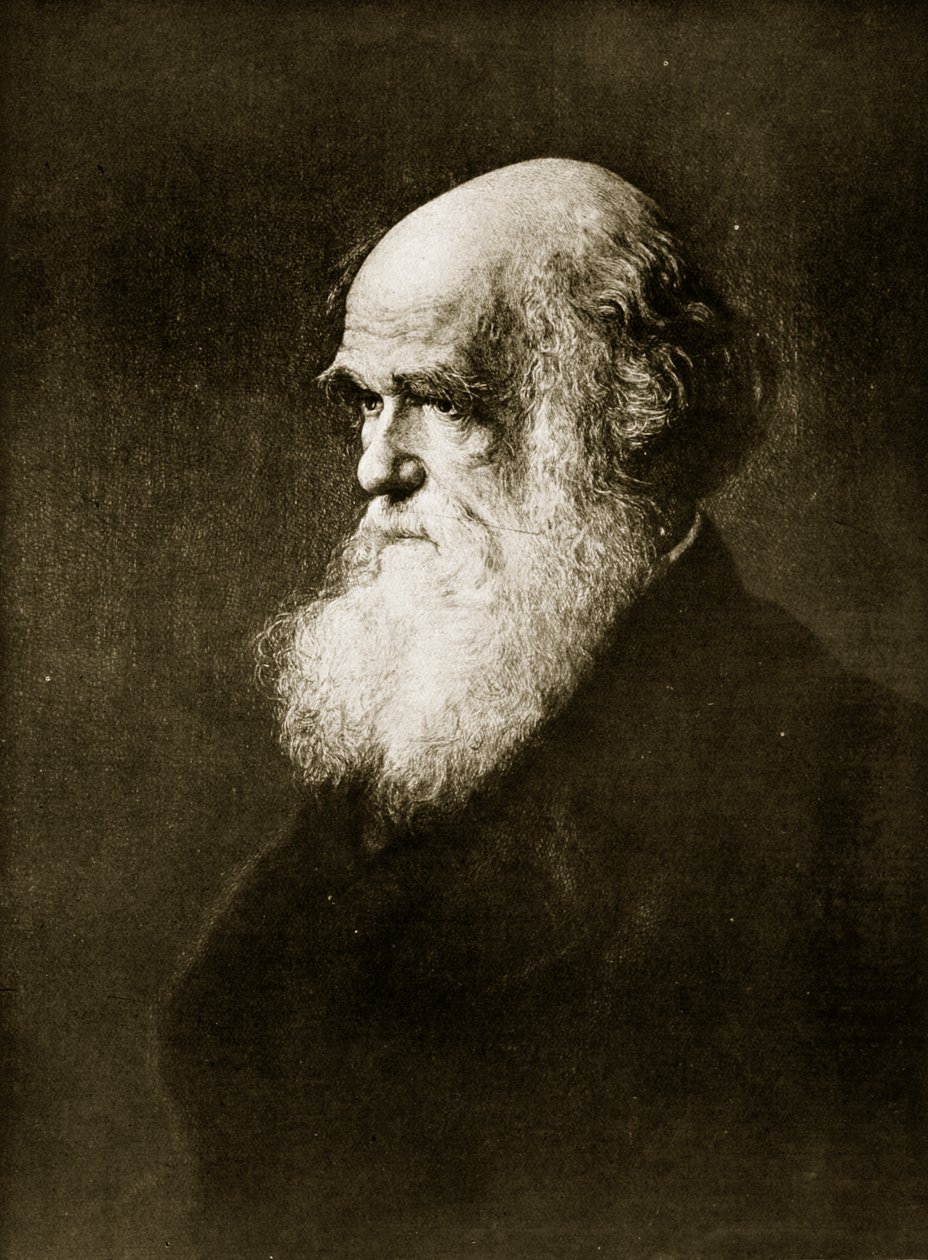 Karol Darwin, grafika wg obrazu W.W. Ouless, ilustracja z „Historii narodu” autorstwa Walter William Ouless