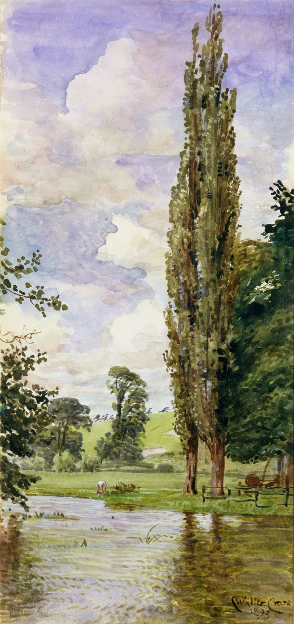 Kawałek Avonu autorstwa Walter Crane