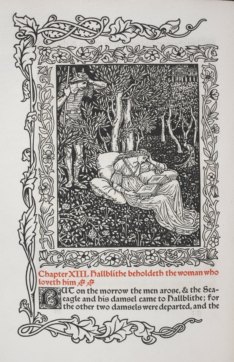 Rozdział XIII. Hallblithe widzi kobietę, która go kocha. autorstwa Walter Crane