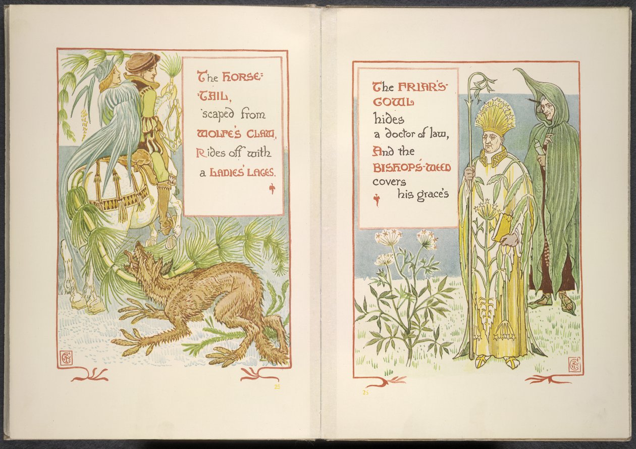 Koński ogon i kaptur mnicha autorstwa Walter Crane