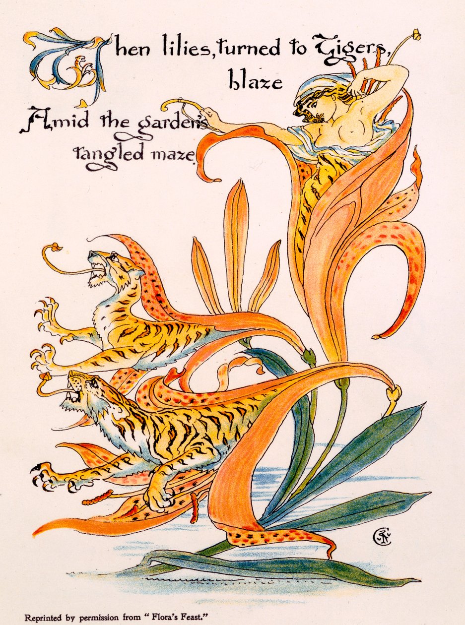 Lilie tygrysie, ilustracja z „Uczty Flory” Waltera Crane