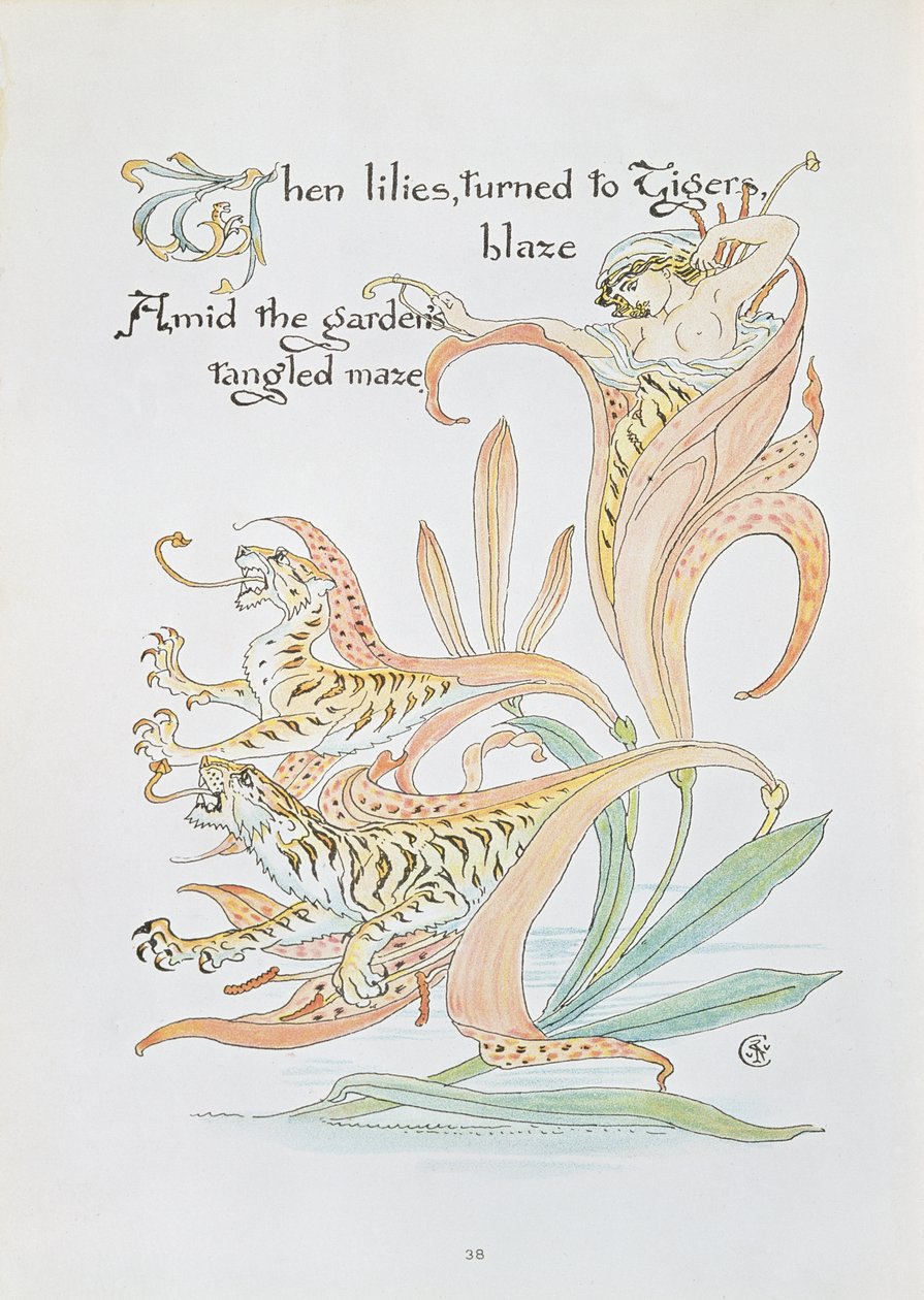 „Kiedy lilie zwróciły się do Tiger Blaze”, ilustracja do „Uczty Flory, Maski Kwiatów” autorstwa Walter Crane