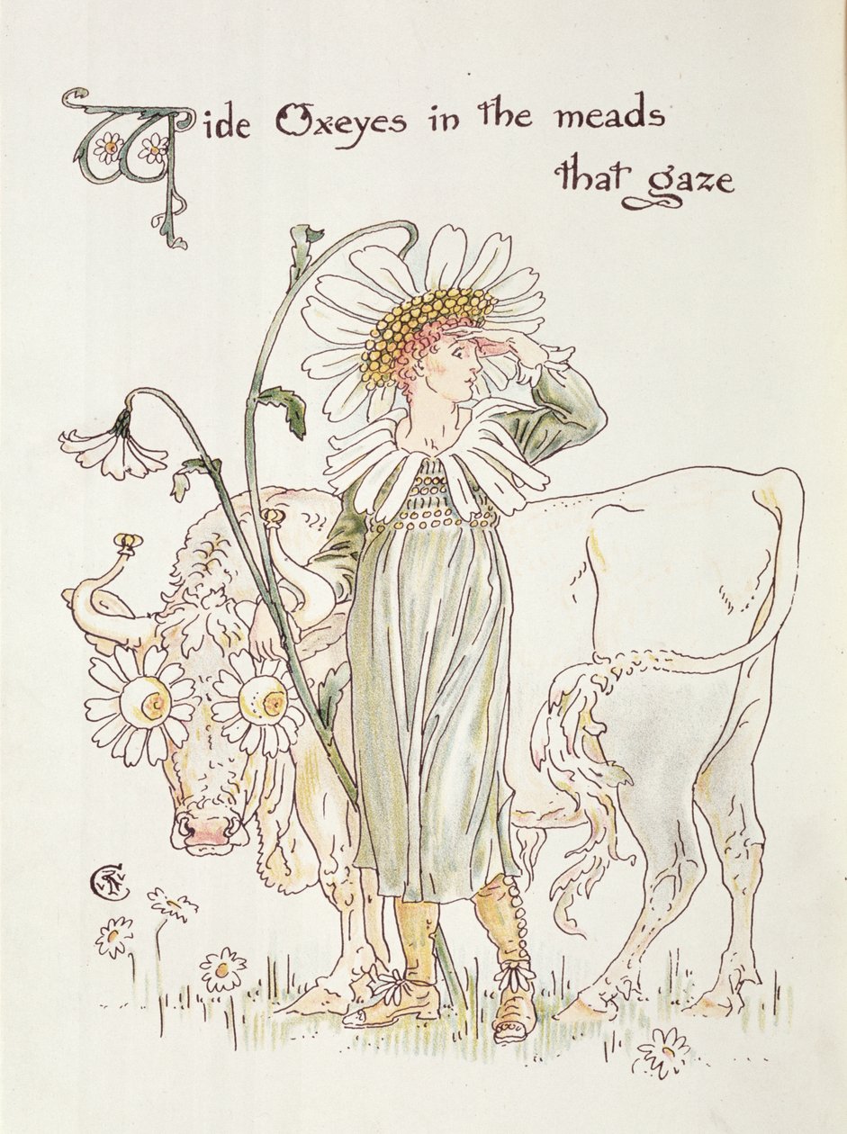 „Dzikie Oxeyes w Miodach, które Spoglądają”, ilustracja do „Uczty Flory, Maska Kwiatów” autorstwa Walter Crane