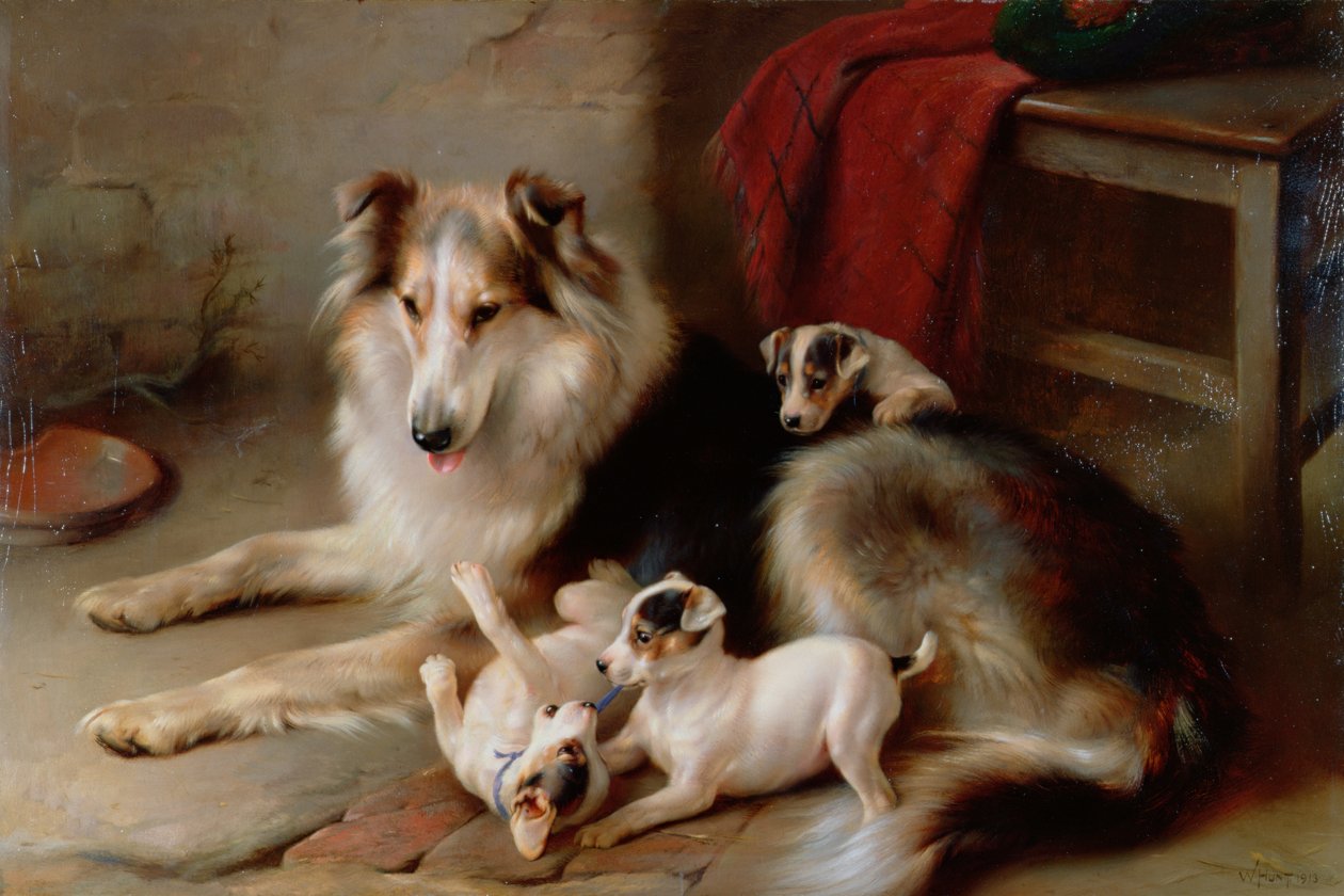 Collie ze szczeniętami Fox Terriera, 1913 autorstwa Walter Hunt