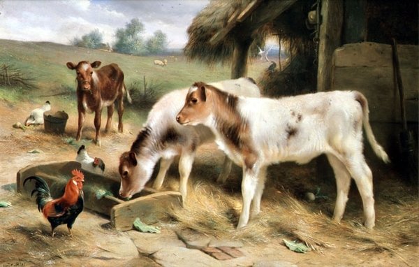 Trzy cielęta i drób autorstwa Walter Hunt
