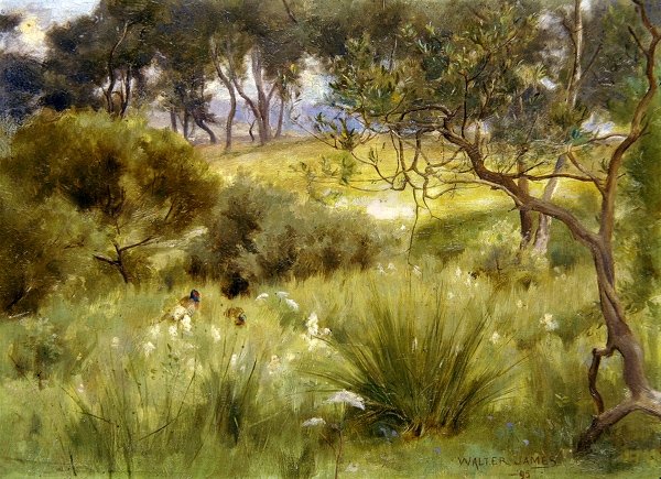 Las w Redesdale autorstwa Walter John James