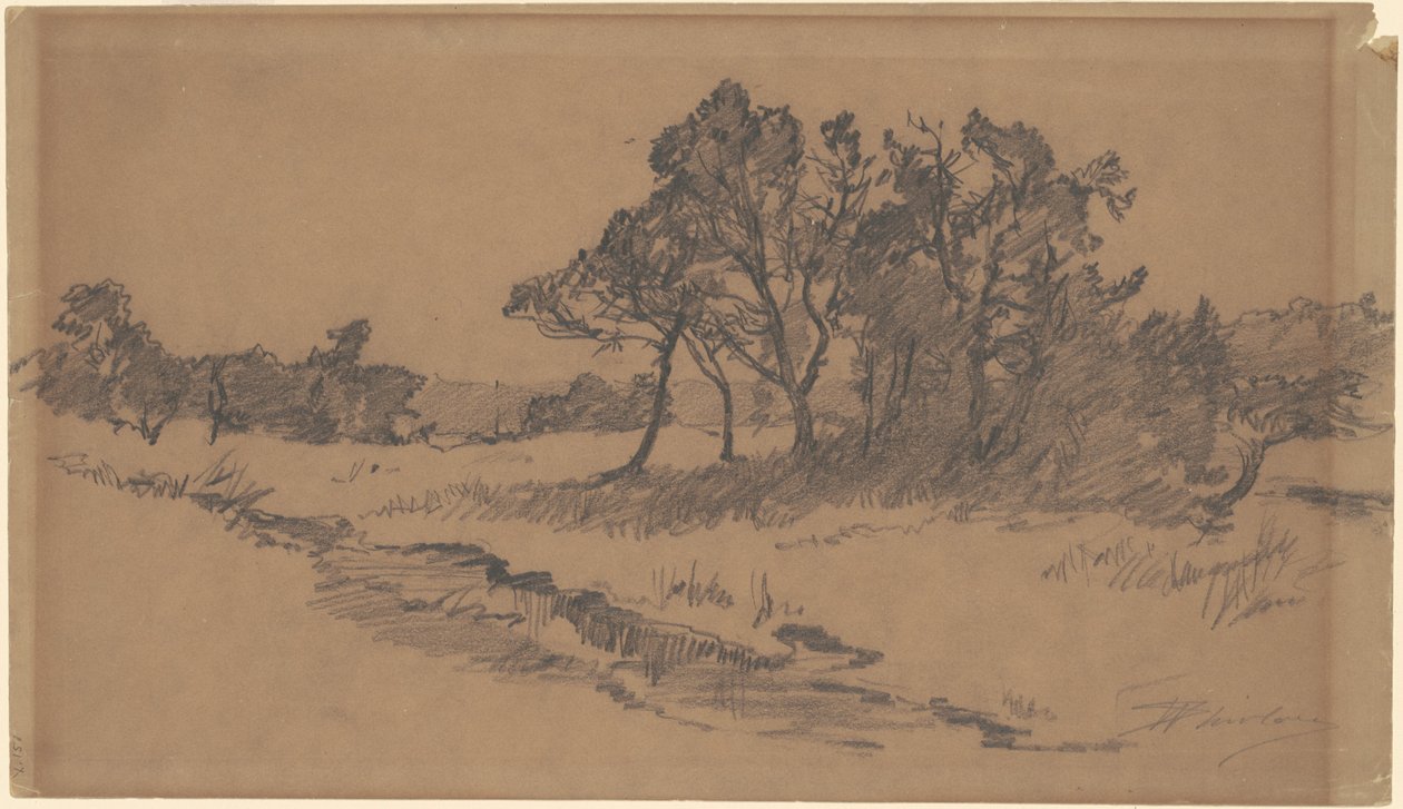 Drzewa na polu autorstwa Walter Shirlaw