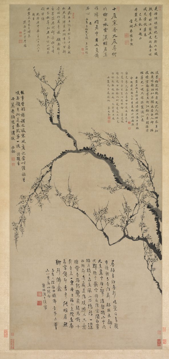 Śliwkowe kwiaty autorstwa Wang Shishen