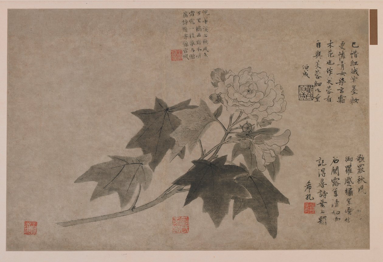 Hibiskus, 1347. autorstwa Wang Yuan