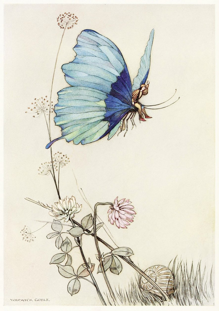 Motyl wziął skrzydła i wzbił się w powietrze z małym Tomkiem na plecach, z The Fairy Book, wyd. 1913 autorstwa Warwick Goble