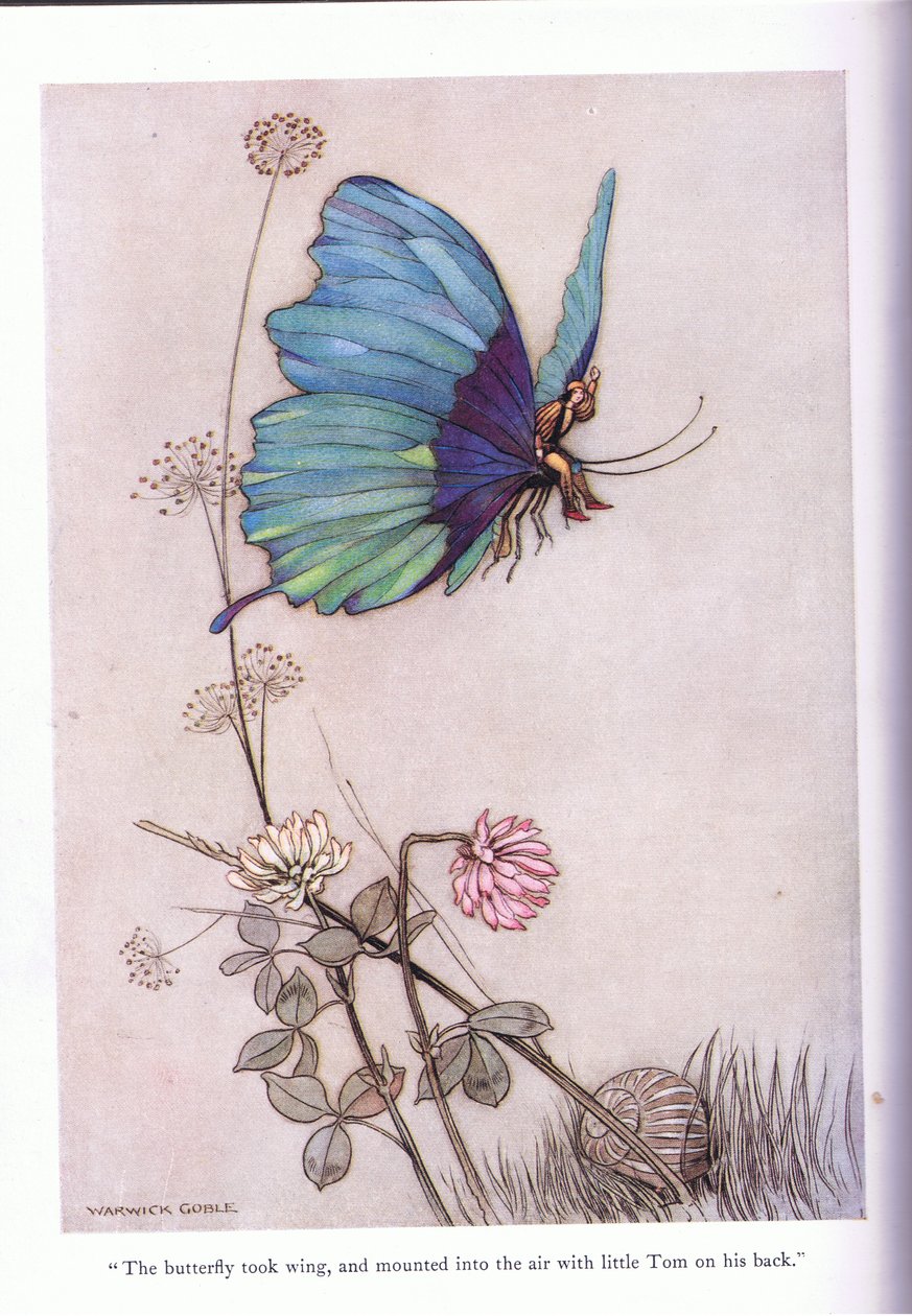 Motyl wzbił się w skrzydła autorstwa Warwick Goble