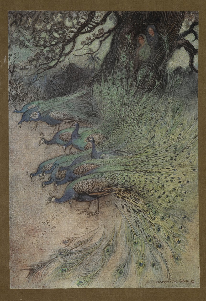 Tablica 11: „Setki pawi wspaniałych piór przyszły na nasypy, aby zjeść khai”, z Folk-Tales of Bengal ... Z 32 kolorowymi ilustracjami Warwicka Goble