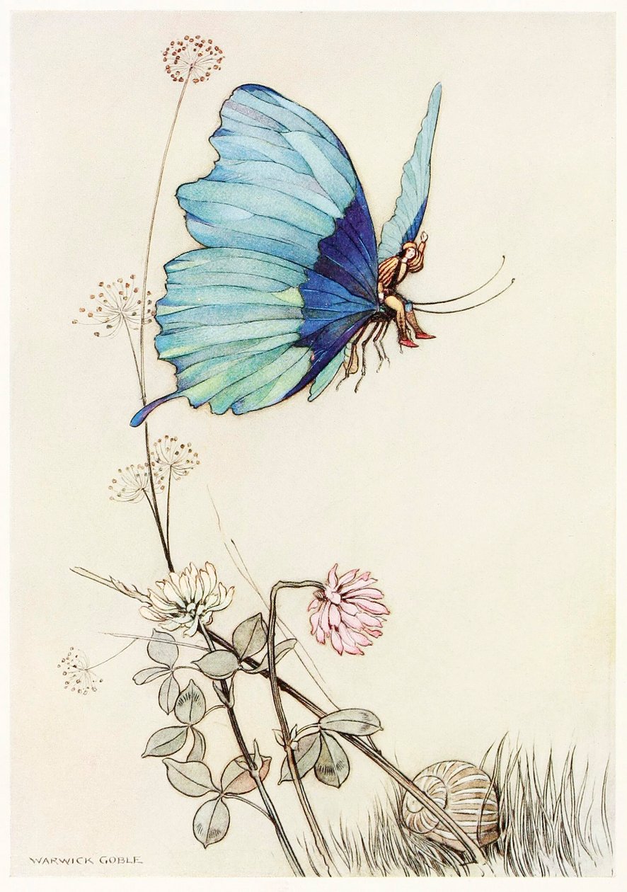 Motyl wzbił się w skrzydło i wzbił się w powietrze z małym Tomkiem na plecach, z Księgi wróżek,1 autorstwa Warwick Goble