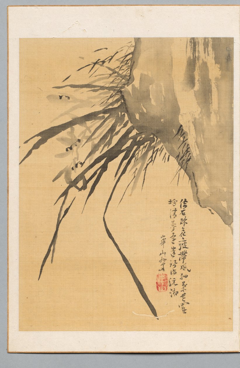 Orchidea, XIX wiek. autorstwa Watanabe Kazan