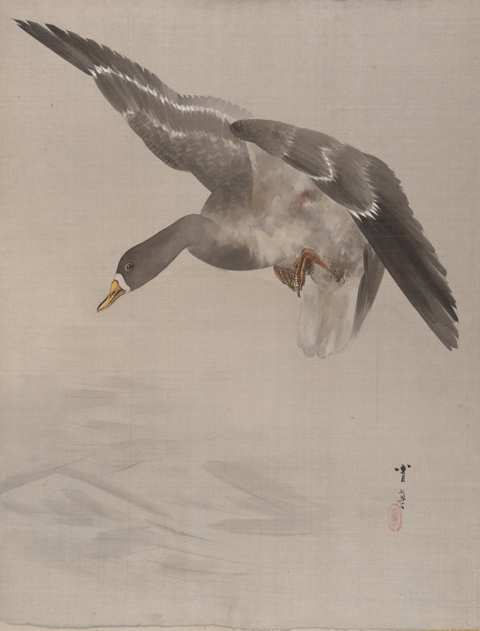 Kaczka, ca. 1887. autorstwa Watanabe Seitei