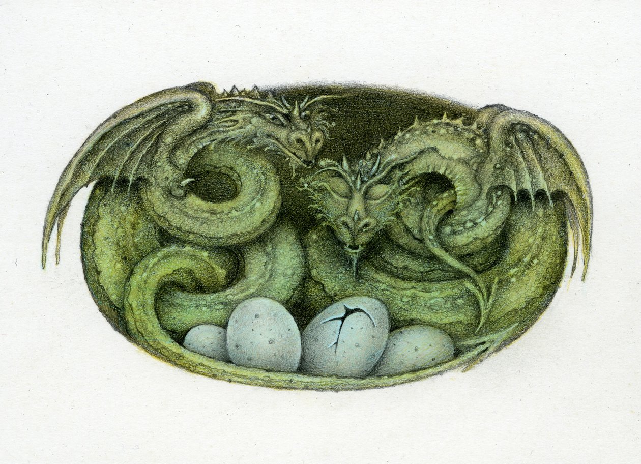 Amphisbaena autorstwa Wayne Anderson
