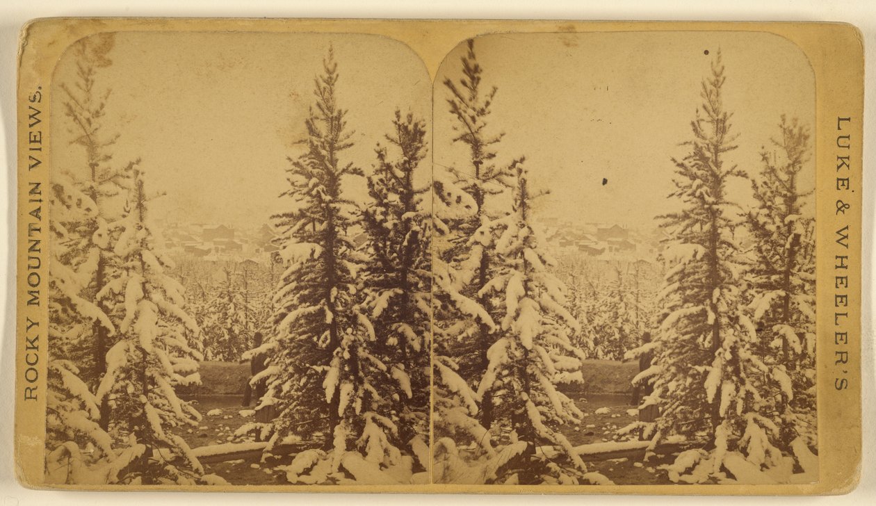 [Drzewa ze śniegiem, Leadville, Kolorado] autorstwa Wellington O. Luke and Dansford Noble Wheeler